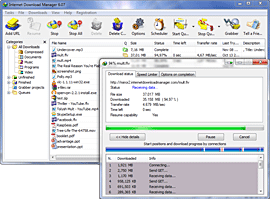  Internet Download Manager v6.25 Build 2 Patch