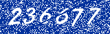 Capcha image